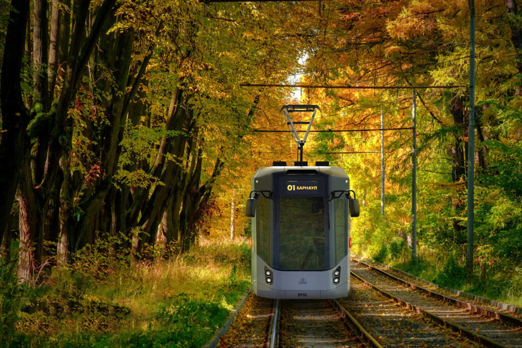 Front view of the tram driving through the forest